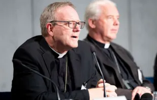 Auxiliary Bishop Robert Barron of Los Angeles, at the Vatican Press Office on Oct. 12, 2018.   Daniel Ibáñez/CNA