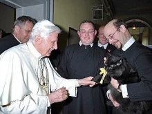 Benedict XVI greeted a fluffy black cat named Pushkin during his visit to the Birmingham Oratory established by St. John Henry Newman.
