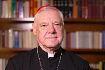 Cardinal Gerhard Ludwig Müller