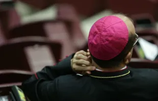 Inside the Synod Hall during the meeting of bishops and cardinals on October 14, 2015.   CNA