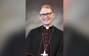 Bishop Patrick Neary of the Diocese of Saint Cloud, Minnesota. Credit: Photo courtesy of the Diocese of Saint Cloud
