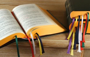 null Credit: Krzysztof Slusarczyk/Shutterstock