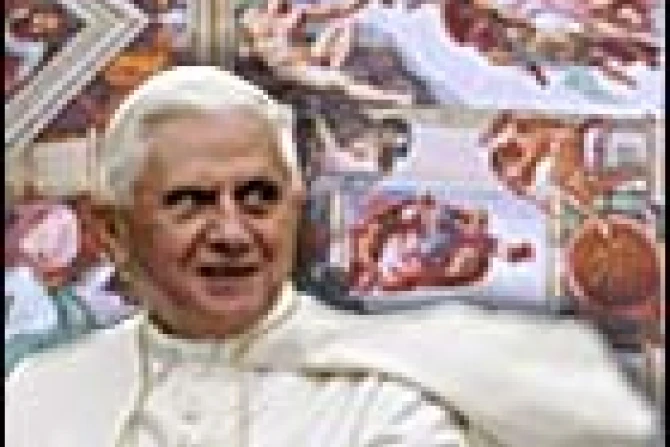 bxvi museos