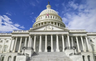 U.S. Capital Building in Washington D.C. / Photo   Louis Velazquez-Unsplash