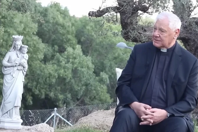 Cardinal Müller calls for overcoming ideological divisions in the Church