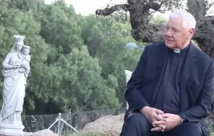 Cardinal Gerhard Müller. Credit: La Sacristía de la Vendée