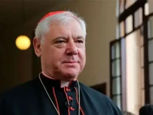 Cardinal Gerhard Müller