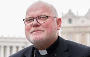Cardinal Reinhard Marx.   Daniel Ibanez
