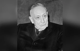 Cardinal József Mindszenty in 1974. Credit: Mieremet, Rob/Anefo, CC BY-SA 3.0 NL, via Wikimedia Commons