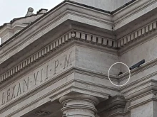A cat is stranded in the colonnade surrounding St. Peter’s Square.