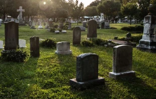 Sherry V Smith/shutterstock