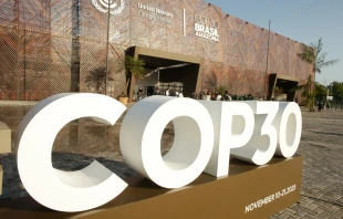 The United Nations Climate Change Conference is taking place in Belém, Brazil, Nov. 6-21, 2025. Credit: Raimundo Pacco/COP30