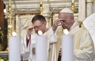 Pope Francis says Mass at Saint Joseph Cathedral in Bucharest, May 31, 2019.   Vatican Media.