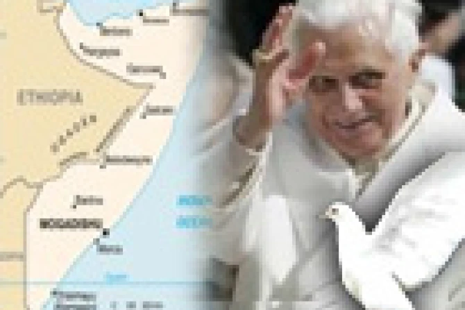 desbxvisomalia211107