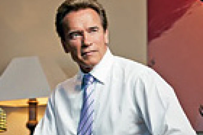 desschwarzenegger161007