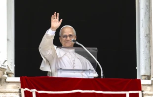 Pope Leo XIV waves to the crowd during his Angelus address on Aug. 24, 2025. Credit: Vatican Media