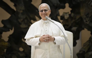 Pope Leo XIV speaks to pilgrims at the general audience in the Paul VI Audience Hall, Vatican City, Wednesday, Aug. 27, 2025. Credit: Vatican Media