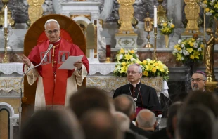 Pope Leo XIV encourages Catholic clergy, religious brothers and sisters, and lay pastoral workers to see the Catholic community’s small size as a strength during an encounter at the Cathedral of the Holy Spirit in Istanbul, Turkey, on Nov. 28, 2025. Credit: Vatican Media