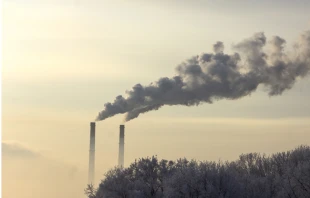 mykhailo pavlenko/Shutterstock.