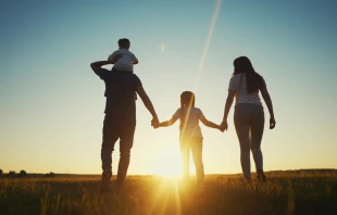 null Credit: maxim ibragimov/Shutterstock