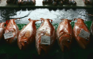 Carrie Kellenberger via Flickr (CC BY 2.0).