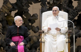 Pope Leo XIV addresses the Knights of the Holy Sepulchre at the Vatican on Oct. 23, 2025. Credit: Vatican Media