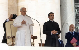Pope Leo XIV gives a blessing to all those present at his weekly general audience in St. Peter’s Square on Oct. 1, 2025. Credit: Daniel Ibanez/CNA
