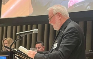 Archbishop Gallagher speaks at the United Nations in New York on Sept. 23, 2025. Credit: Permanent Mission of the Holy See to the United Nations