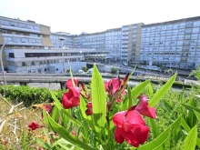A photograph shows an outside view of the Gemelli hospital in Rome on June 8, 2023, where Pope Francis has been hospitalized following an operation for an abdominal hernia on June 7.