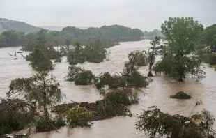 Trees emerge from flood waters along the Guadalupe River on July 4, 2025, in Kerrville, Texas. Heavy rainfall caused flooding along the Guadalupe River in central Texas with multiple fatalities reported. Credit: Eric Vryn/Getty Images