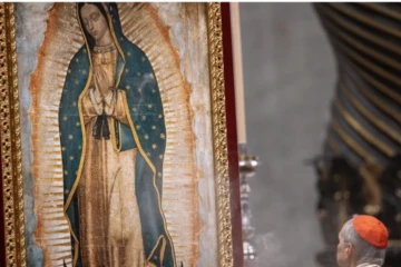 Image of Our Lady of Guadalupe in the Vatican