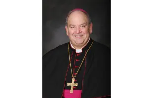 Archbishop Bernie Hebda.   Dave Hrbacek/The Catholic Spirit
