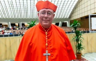 Cardinal Jean-Claude Hollerich, archbishop of Luxembourg, presided over the beatification Mass of the 50 martyrs of the Catholic apostolate, held Dec. 13, 2025, at Notre Dame Cathedral in Paris. Credit: Daniel Ibáñez/EWTN News