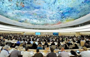 A session of the Human Rights Council in Geneva -