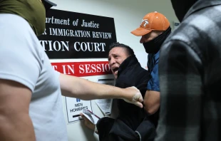 A man seeking asylum from Colombia is detained by federal agents as he attends his court hearing in immigration court at the Jacob K. Javitz Federal Building on Oct. 27, 2025, in New York City. Credit: Michael M. Santiago/Getty Images