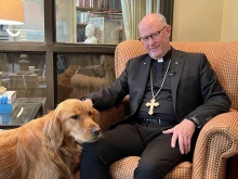 Bishop James Conley of the Diocese of Lincoln credits the support of friends, family, medical professionals, and his golden retriever, Stella, with his recovery from mental illness.