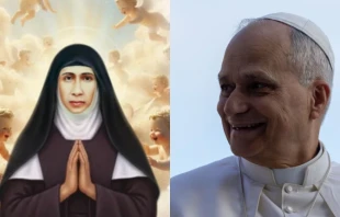 The beatification ceremony for Mother Elisva Vakha’i was held in the square in front of the Basilica-Shrine of Our Lady of Ransom in Vallarpadam, Kochi, Kerala, India, Nov. 8, 2025. Credit: Congregation of the Teresian Discalced Carmelite Sisters; Daniel Ibañez/EWTN News