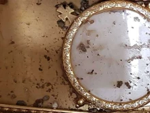 Consecrated host found intact.