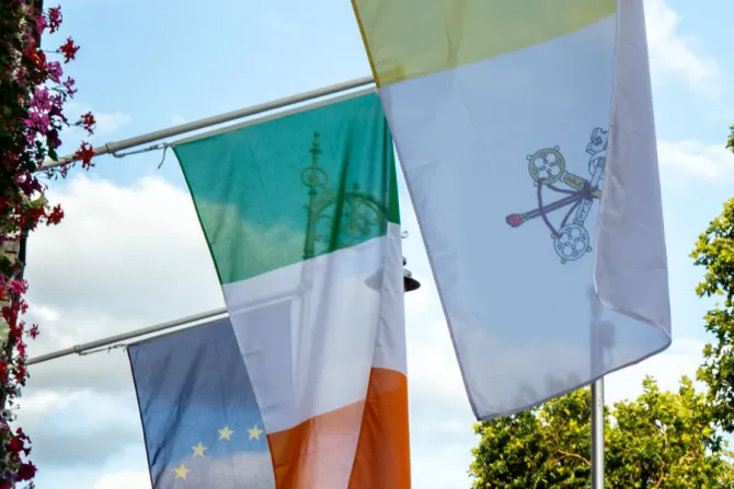 irish flags 2 CNA