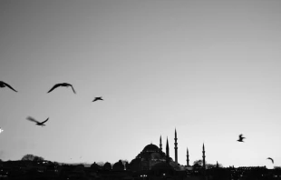 brixit lorenzo de la fuente via flickr (CC-by-NC-ND).