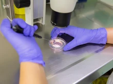 The Trump administration will expand access to in vitro fertilization drugs and procedures.