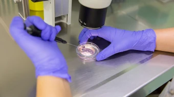 The results demonstrate that just informing Catholic voters about the Church’s position on IVF and the immorality of the procedure is sufficient to cause an immediate 14-point shift against IVF in the public opinion of the Catholic faithful.