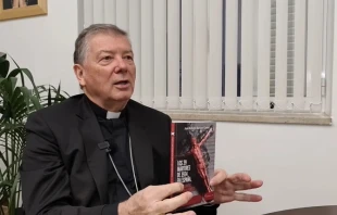 Bishop Juan Antonio Martínez Camino is the auxiliary bishop of Madrid. Credit: Nicolás de Cárdenas/ACI Prensa