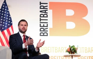 U.S. Vice President JD Vance participates in a fireside chat with Breitbart Washington Bureau Chief Matt Boyle at the Andrew W. Mellon Auditorium on Nov. 20, 2025, in Washington, D.C. Credit: Tasos Katopodis/Getty Images