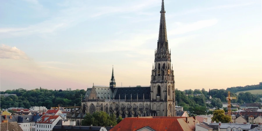 Cardinal Müller condemns statue of Virgin Mary giving birth displayed ...