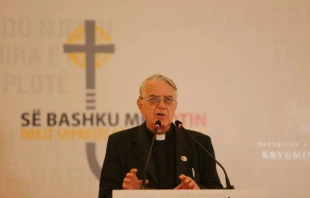 Father Federico Lombardi gives a press briefing in Tirana, Albania.   Daniel Ibáñez/CNA.