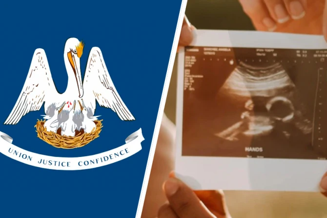 louisiana amendment 1 2020