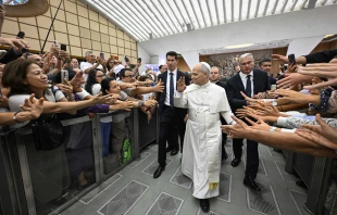 Time Magazine named Pope Leo XIV (pictured in the Paul VI Audience Hall) one of its Top 100 most influential thinkers concerning AI on Aug. 28, 2025. Credit: Vatican Media