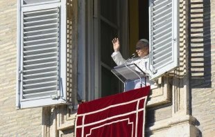 Pope Leo XIV addresses pilgrims gathered in St. Peter’s Square at the Vatican for recitation of the Angelus on Dec. 28, 2025. Credit: Vatican Media