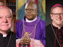Cardinal Gerhard Ludwig Müller, Cardinal Fridolin Ambongo, and Bishop Robert Barron.